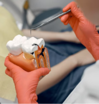 General Dentistry